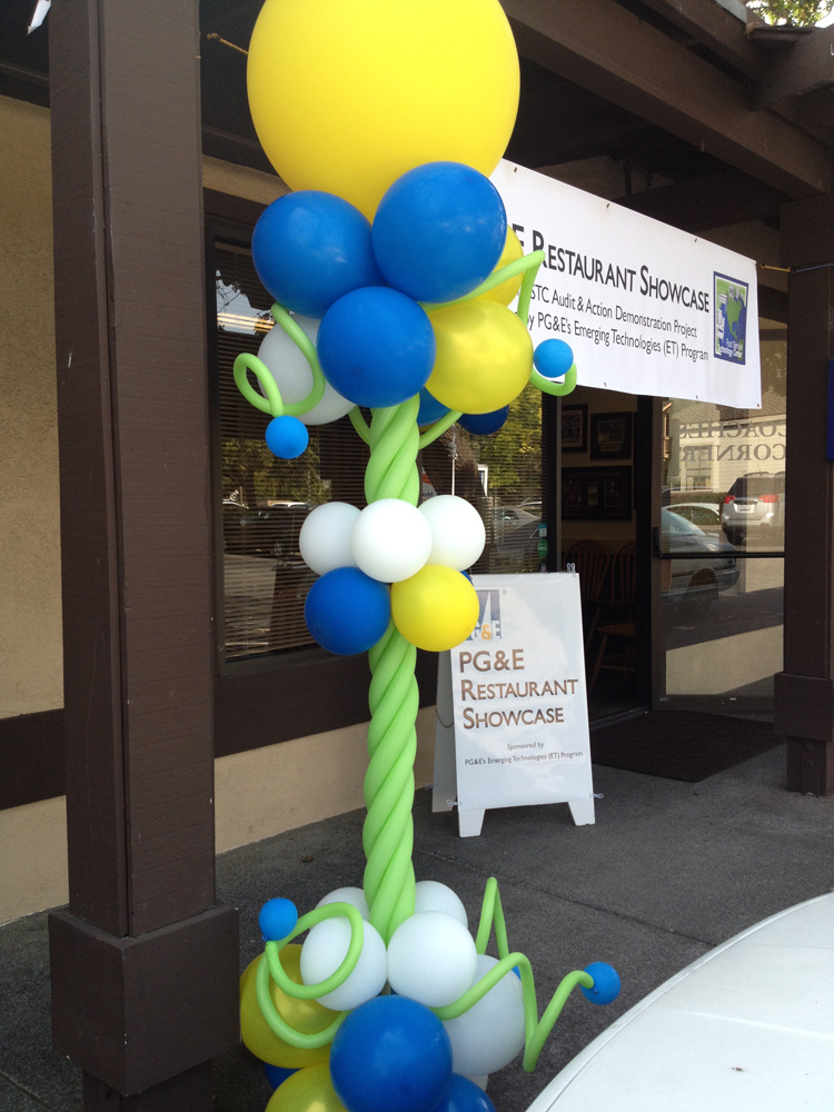 Bay Area Balloon - 925-364-5498